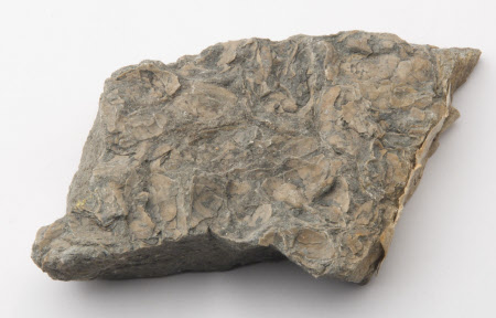 Mineral specimen