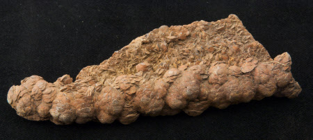 Mineral specimen