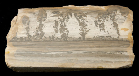 Mineral specimen