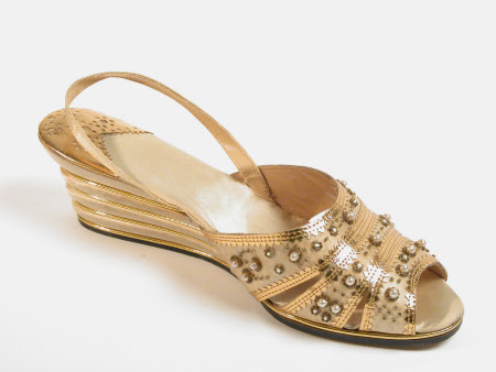 Lady's evening shoe