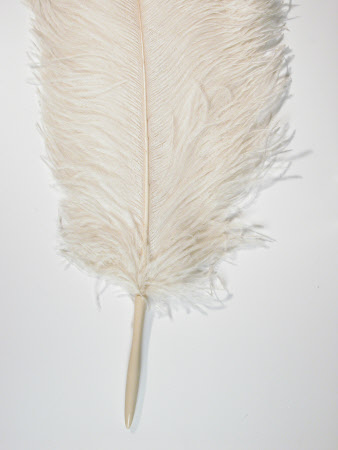 Killerton Fashion Collection © National Trust / Sophia Farley and Renée Harvey