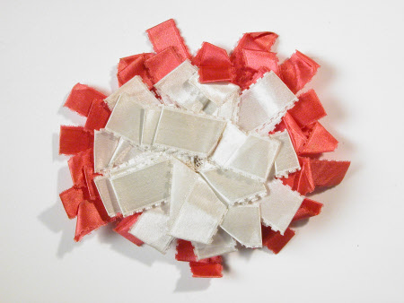 Shoe rosette
