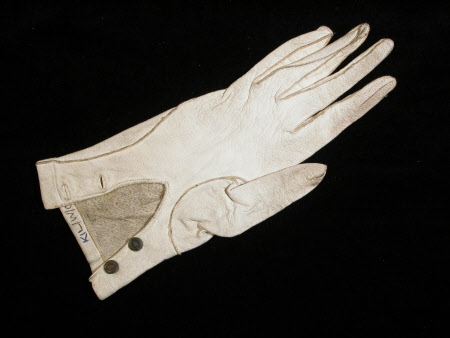 Lady's glove