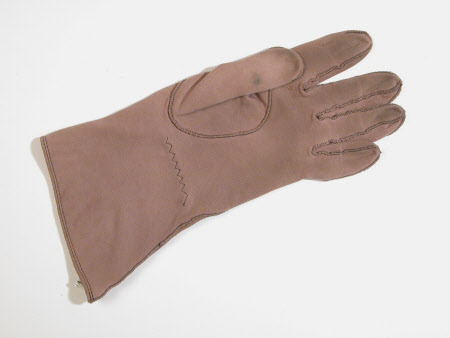 Lady's glove