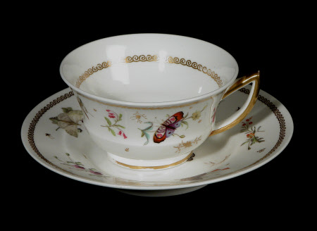 Teacup