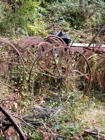 Hay rake