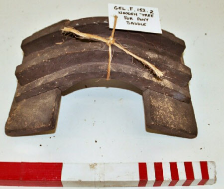 Carthorse saddle tree
