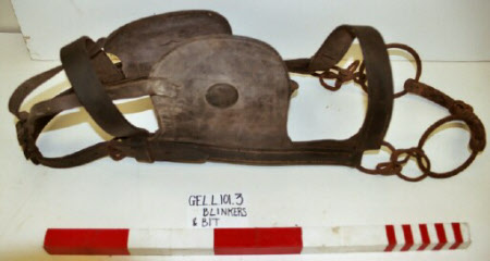 Bridle