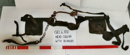 Bridle