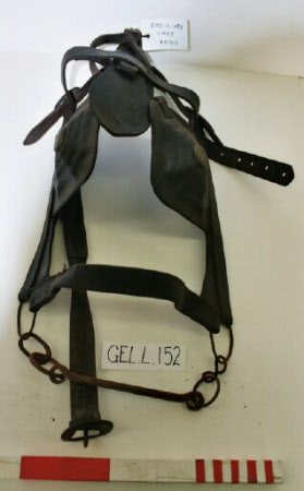 Bridle
