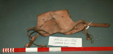 Bull mask