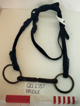 Bridle