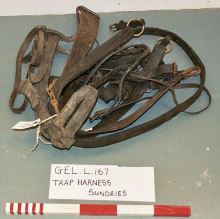 Trap harness