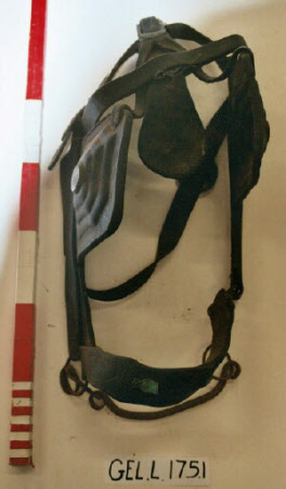 Bridle