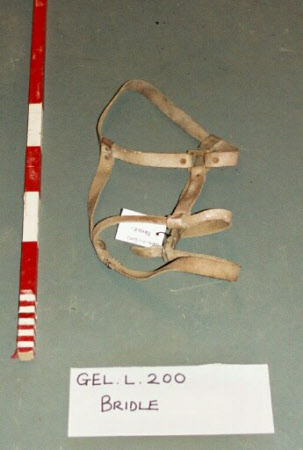 Bridle
