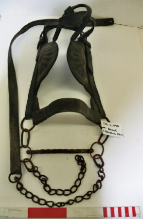 Bridle