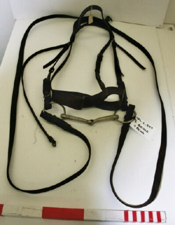 Bridle