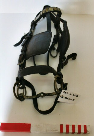 Bridle