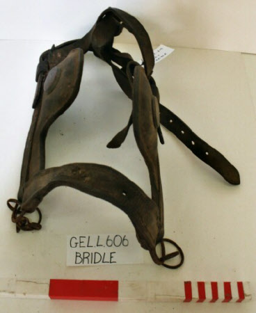 Cart bridle