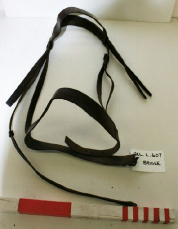 Bridle