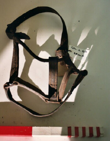 Bridle