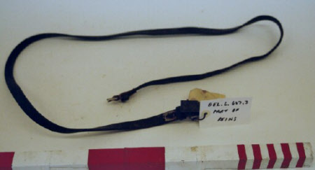 Reins