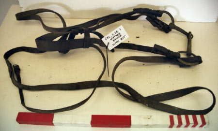 Bridle