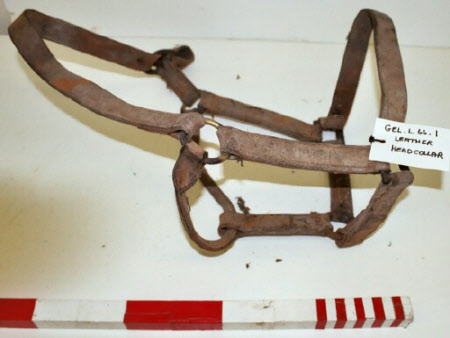 Bridle