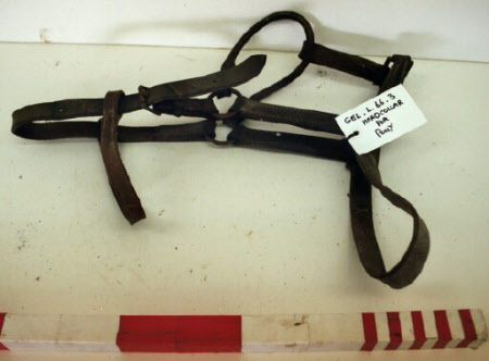 Bridle