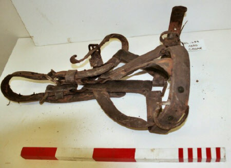 Bridle