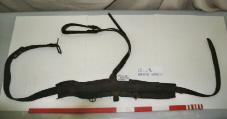 Girth strap