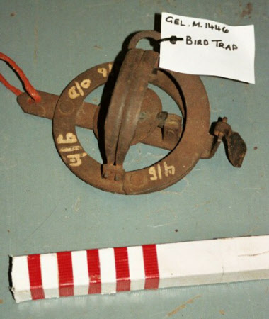 Bird trap