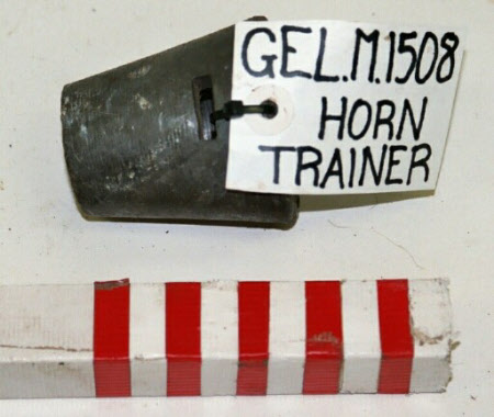 Bull horn trainer