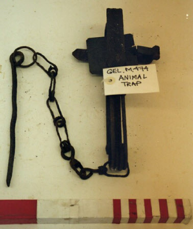Animal trap