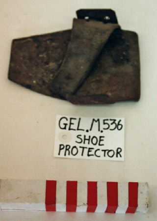 Shoe protector