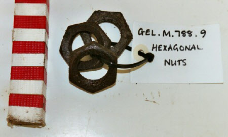 Nut