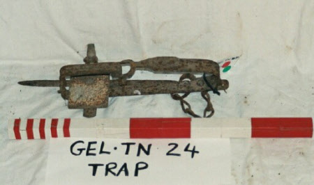 Animal trap
