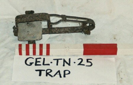 Animal trap