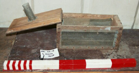 Mouse trap