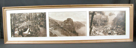 Photograph