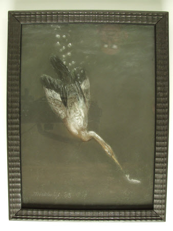 Diving Heron