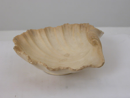 Scallop shell dish
