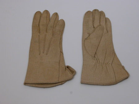 Ladies glove