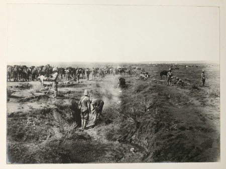 Gunby Hall © National Trust / Robert Thrift
