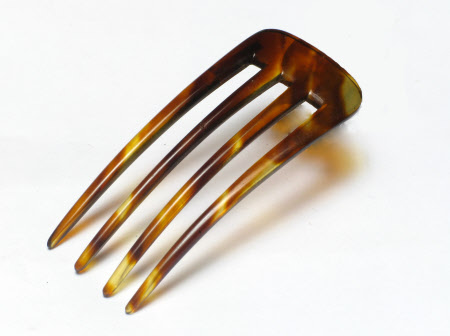 Tyntesfield © National Trust / Volunteer photographic team