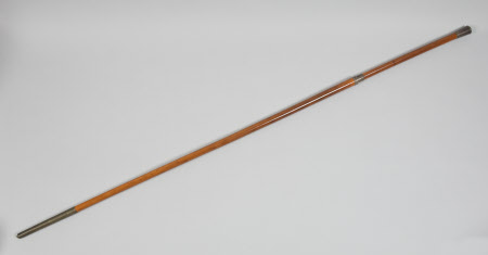 Walking stick