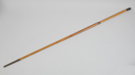 Walking stick
