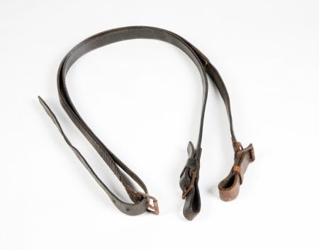 Horse reins