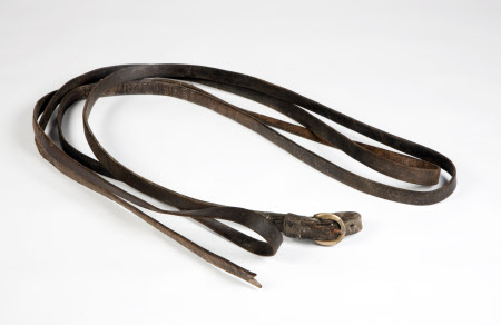 Horse reins