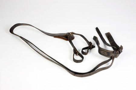 Horse harness